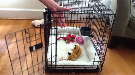 Medium Crate is 24"x18"x19" for 35 Large Crate is 42"x28"x30" for 60 Both for 85. . Top paw folding crate disassembly